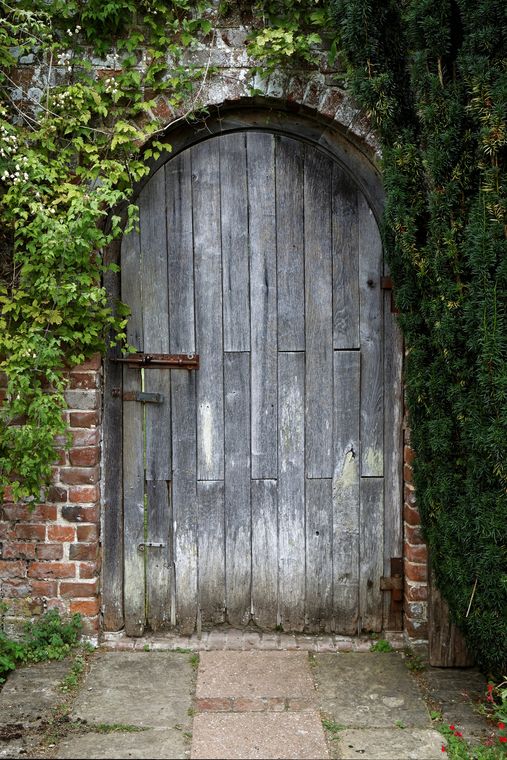 A weathered arched wooden door, bolted shut, set in an old brick wall with a climber on one side and a dark clipped hedge on the other