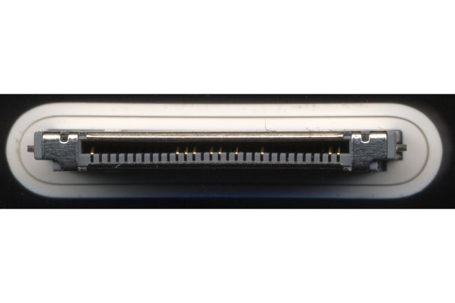 An Apple 30-pin dock plug seen end-on, showing the row of contacts