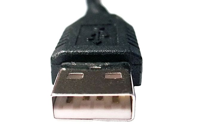 A USB-A plug seen end-on, showing the white plastic tongue and four contacts